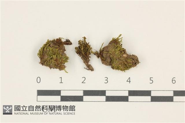 登錄號:B00014841藏品圖，第1張