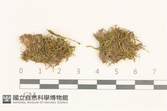 登錄號:B00015841藏品圖，第1張