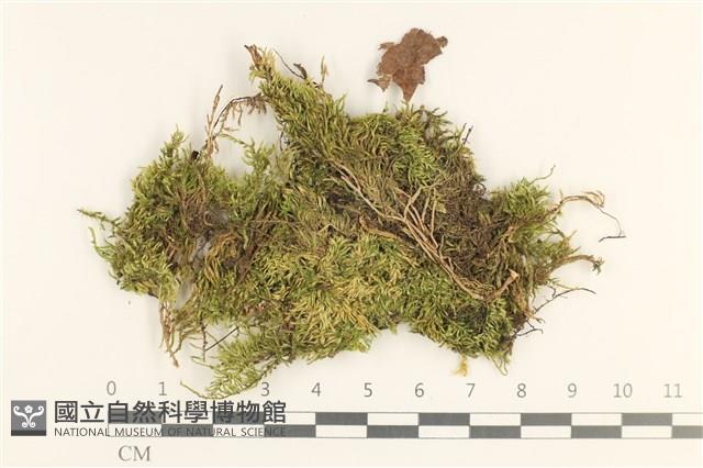 登錄號:B00013261藏品圖，第1張