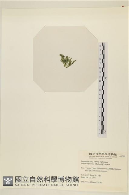 登錄號:A00004961藏品圖，第3張