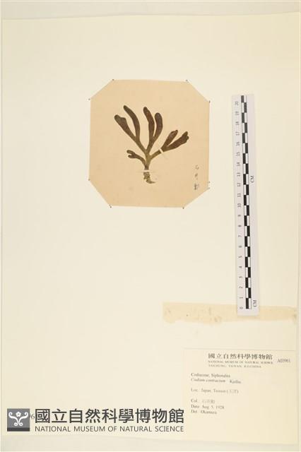 登錄號:A00003961藏品圖，第3張