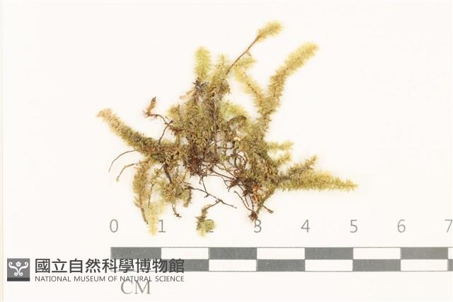 登錄號:B00008861藏品圖，第1張