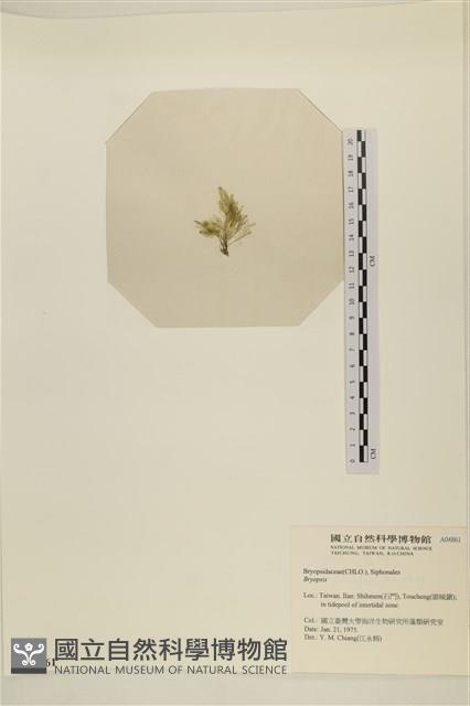登錄號:A00004861藏品圖，第3張