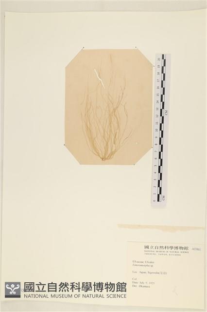 登錄號:A00003861藏品圖，第1張