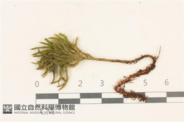 登錄號:B00020361藏品圖，第1張