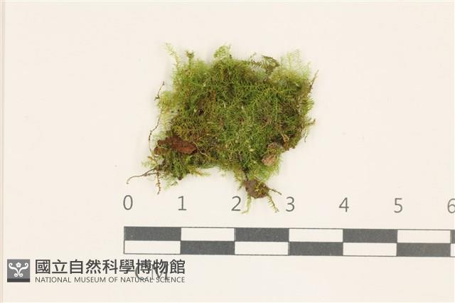 登錄號:B00020201藏品圖，第1張