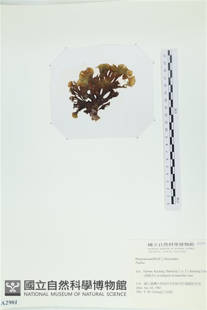 登錄號:A00002901藏品圖，第3張