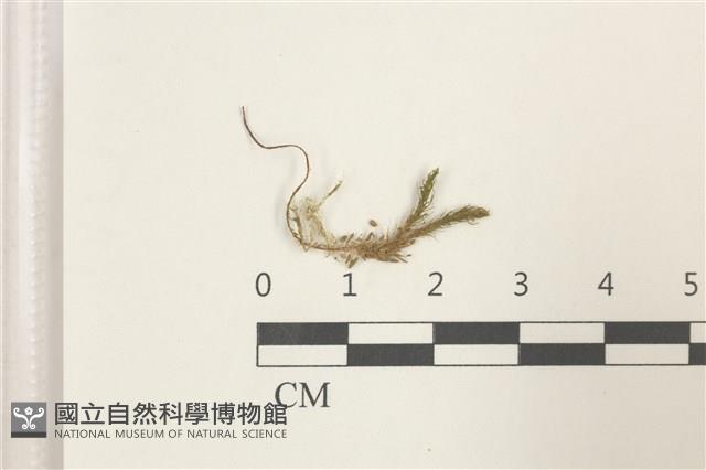 登錄號:B00017901藏品圖，第1張