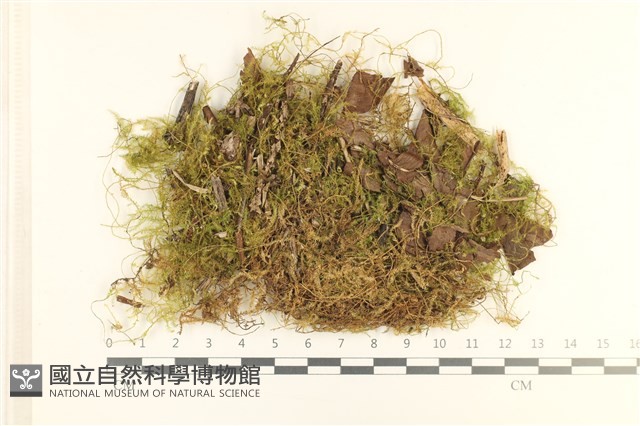 登錄號:B00010801藏品圖，第1張
