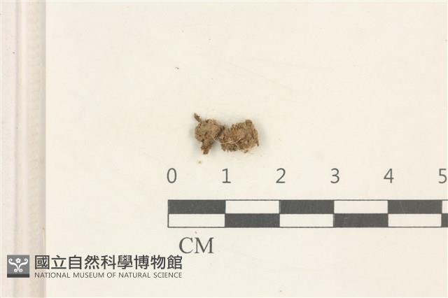 登錄號:B00010481藏品圖，第1張