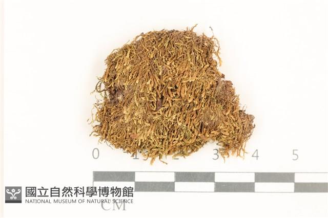 登錄號:B00014881藏品圖，第1張