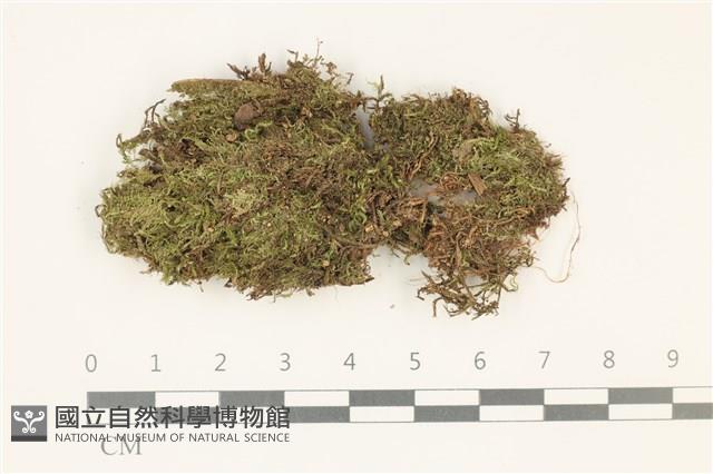 登錄號:B00012381藏品圖，第1張