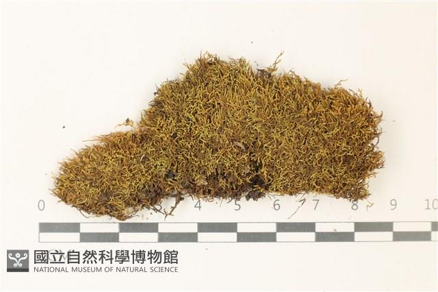 登錄號:B00002230藏品圖，第1張