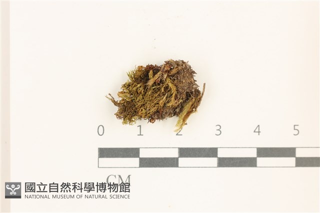 登錄號:B00015130藏品圖，第1張