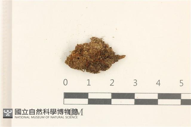 登錄號:B00001130藏品圖，第1張