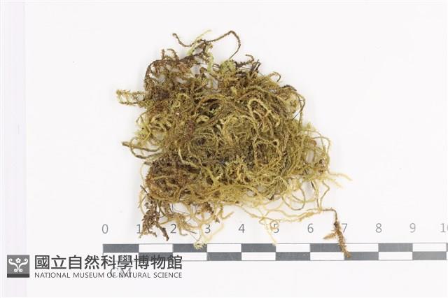 登錄號:B00002930藏品圖，第1張