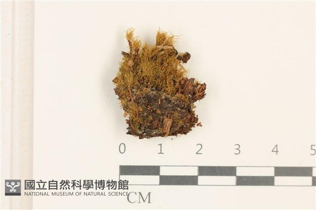 登錄號:B00004930藏品圖，第1張