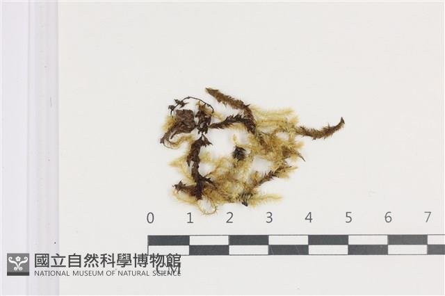 登錄號:B00011930藏品圖，第1張