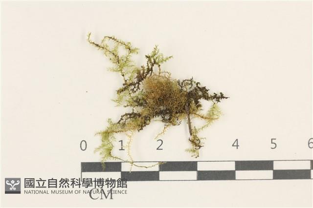 登錄號:B00020930藏品圖，第1張