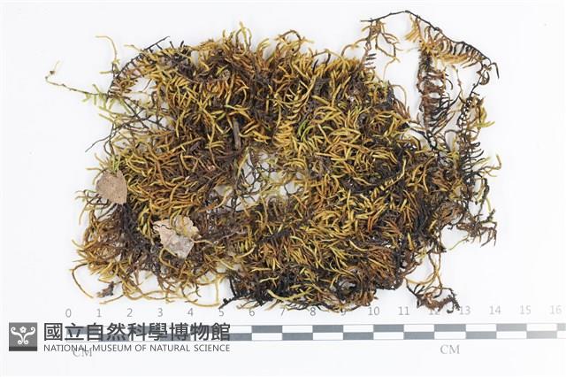 Accession Number:B00012830 Collection Image, Figure 1, Total 2 Figures