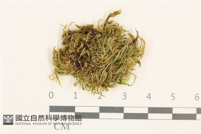 登錄號:B00015830藏品圖，第1張