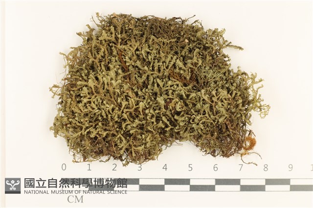 登錄號:B00000830藏品圖，第1張