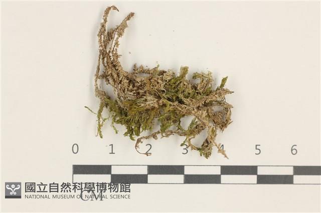 登錄號:B00002330藏品圖，第1張