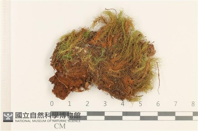 登錄號:B00020330藏品圖，第1張