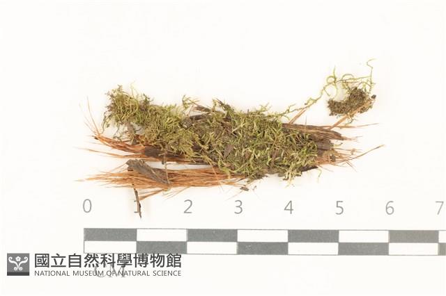 登錄號:B00015150藏品圖，第1張