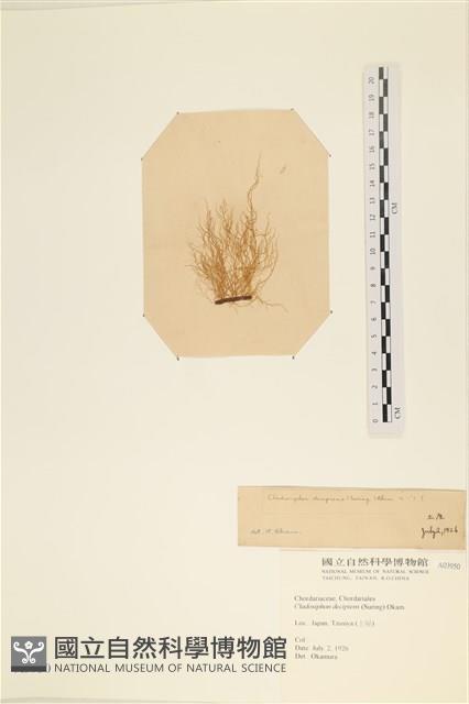 登錄號:A00003950藏品圖，第3張