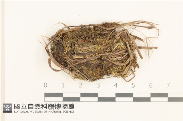 登錄號:B00014850藏品圖，第1張