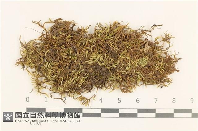 登錄號:B00015850藏品圖，第1張