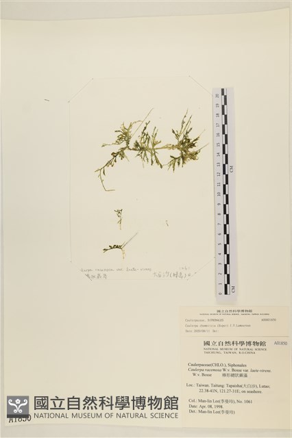 登錄號:A00001850藏品圖，第1張