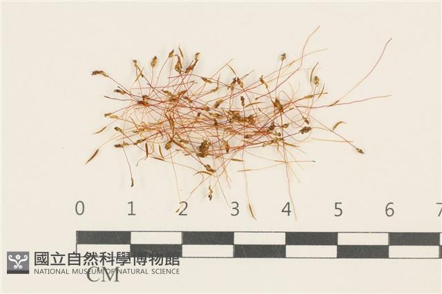 登錄號:B00003220藏品圖，第1張