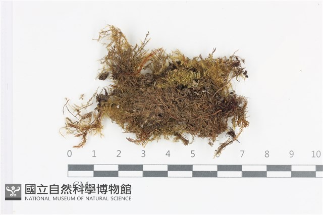 登錄號:B00011920藏品圖，第1張