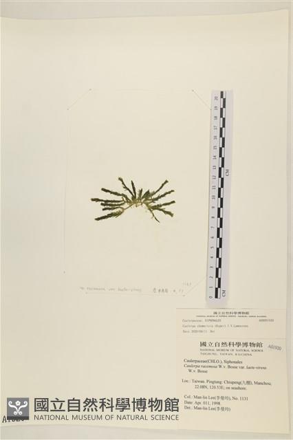 登錄號:A00001920藏品圖，第3張