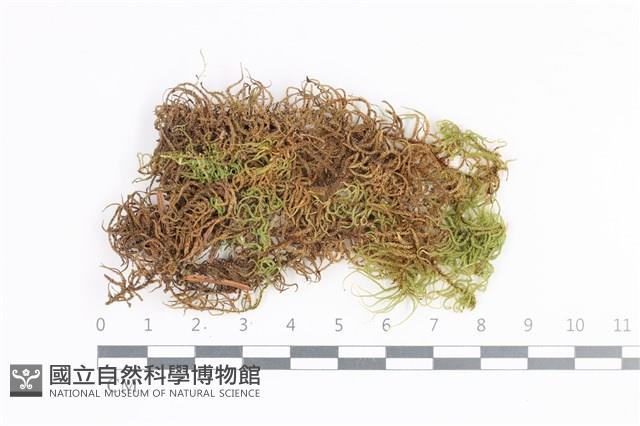 登錄號:B00020320藏品圖，第1張