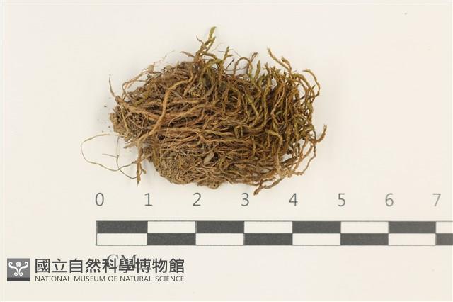 登錄號:B00018170藏品圖，第1張