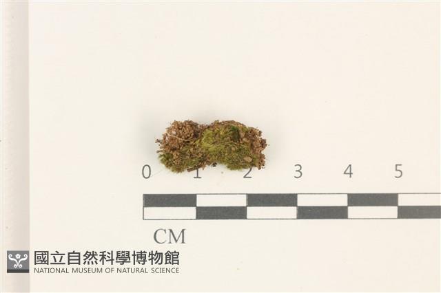 登錄號:B00012470藏品圖，第1張