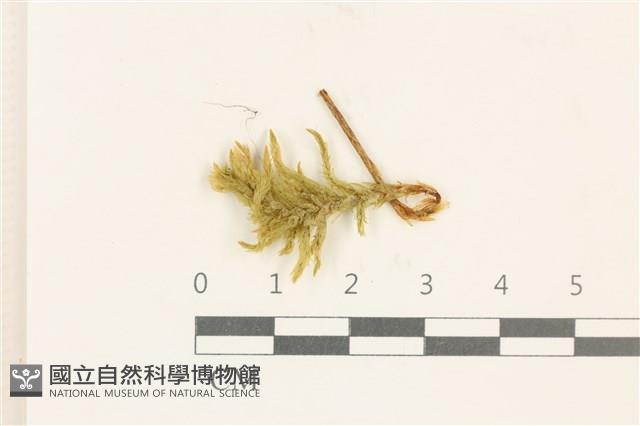 登錄號:B00003470藏品圖，第1張