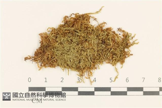 登錄號:B00004970藏品圖，第1張