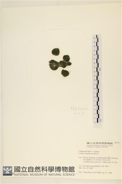登錄號:A00005970藏品圖，第3張