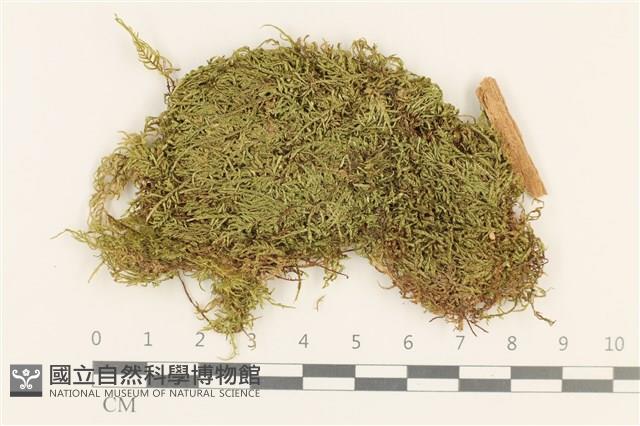 登錄號:B00011970藏品圖，第1張