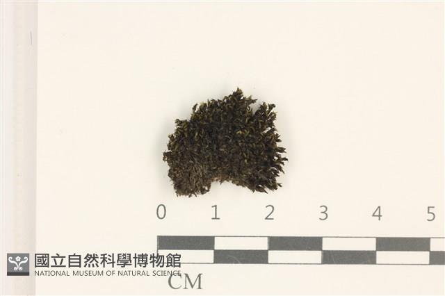 登錄號:B00018870藏品圖，第1張
