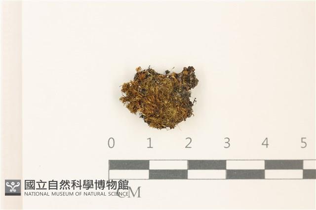 登錄號:B00015870藏品圖，第1張