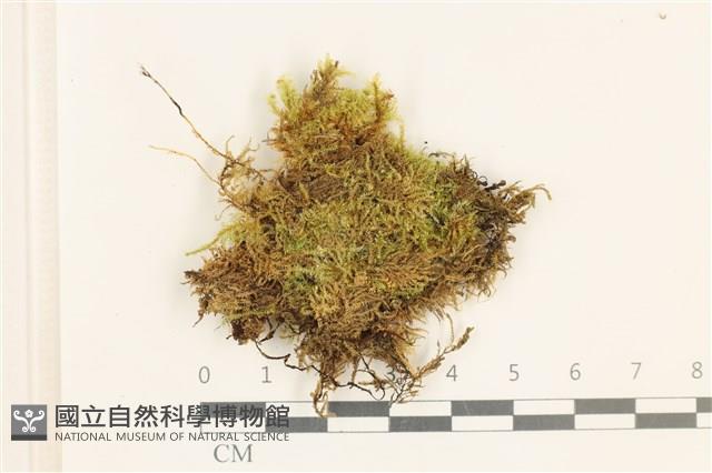 登錄號:B00020370藏品圖，第1張