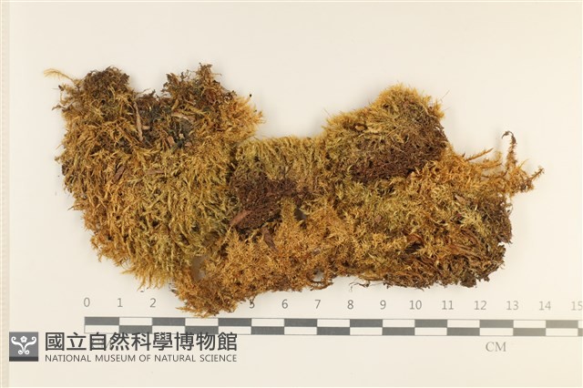 登錄號:B00001010藏品圖，第1張