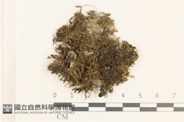 登錄號:B00018910藏品圖，第1張