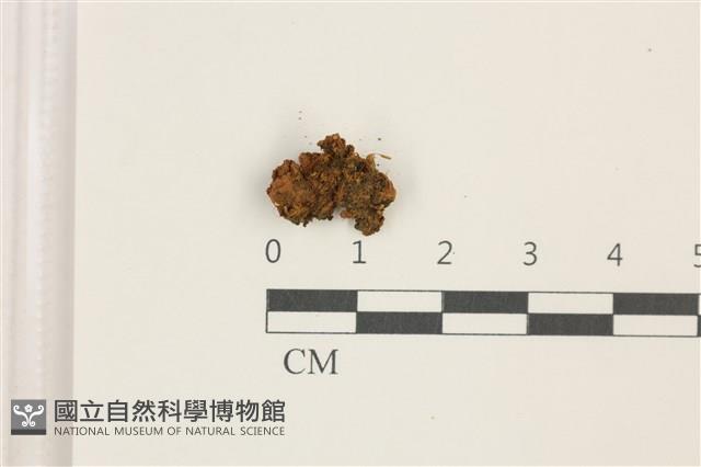 Accession Number:B00017910 Collection Image, Figure 1, Total 2 Figures