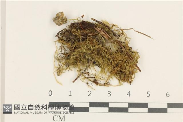 登錄號:B00015810藏品圖，第1張